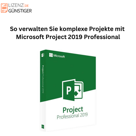 Projektmanagement mit Microsoft Project 2019 Professional meistern